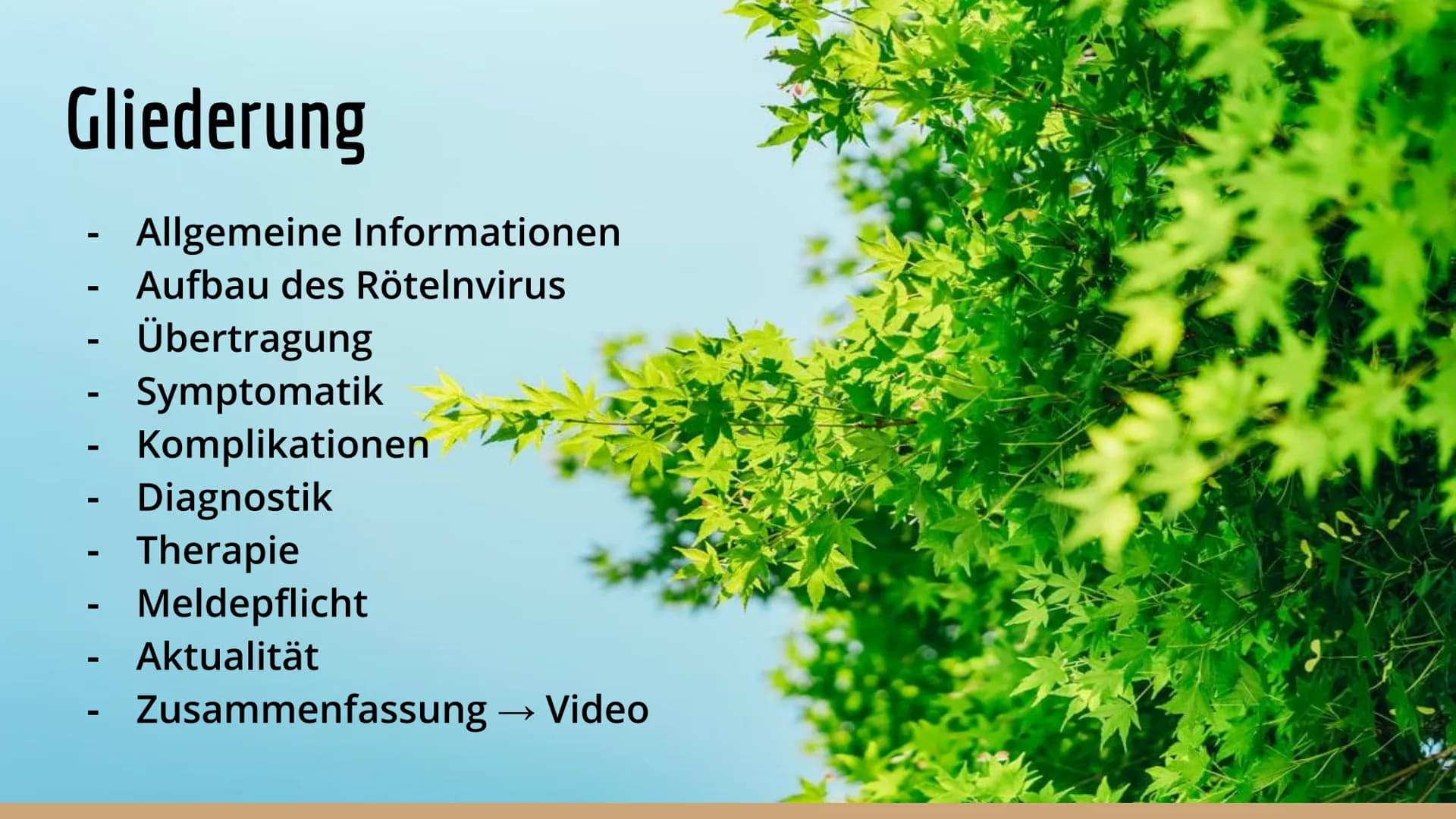 
<p>Quynh Anh, Ngo</p>
<h2 id="allgemeineinformationen">Allgemeine Informationen</h2>
<p>Die Röteln sind eine hochansteckende Krankheit, die