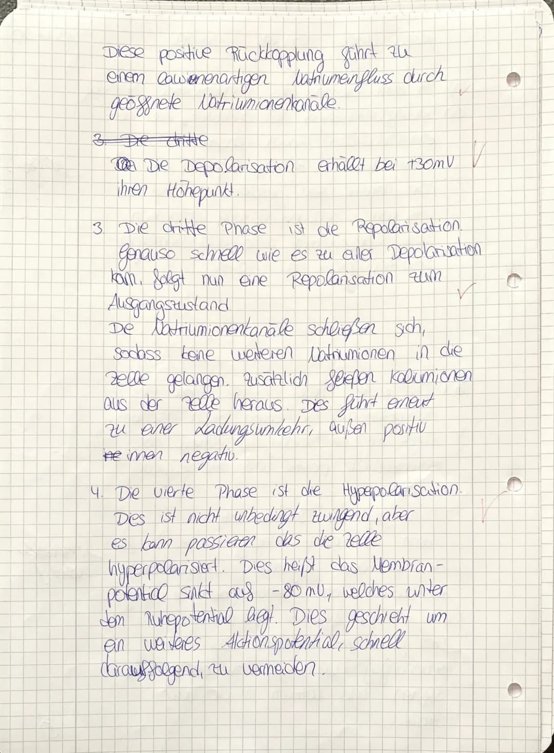 12/4/5/6
6/4/2|31313
Name:
Luisa Groß
1. Kursarbeit.
Abgegebene Blätter y
Kurs:
BGY 19
Datum:
Durchmesser
Leitungsgeschw.
Note:
Zwischen 2 N