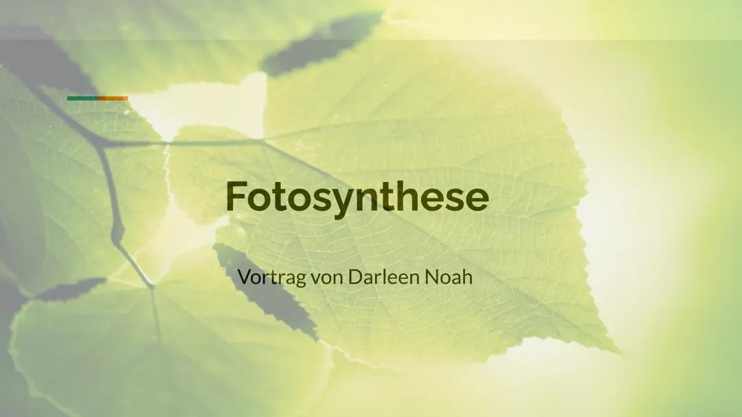 Präsentation Fotosynthese 
