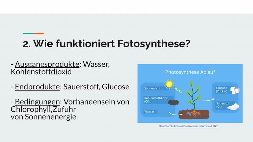 Fotosynthese
Vortrag von Darleen Noah Was ist Fotosynthese?
- ist eine redoxreaktion (Reduktion und Oxidation) -> Reaktion mit Sauerstoff un