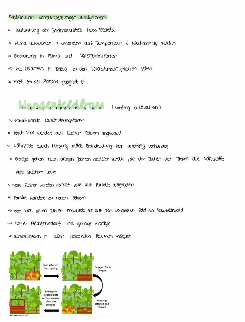 LANDWIRTSCHAFT
Woven hängt Landwirtschaft ab ?
• Klima (Temperatur & Niederschlag)
> Boden eigenschaften
Ertragsfähigkeit
> Tiere
▸ Vegetati