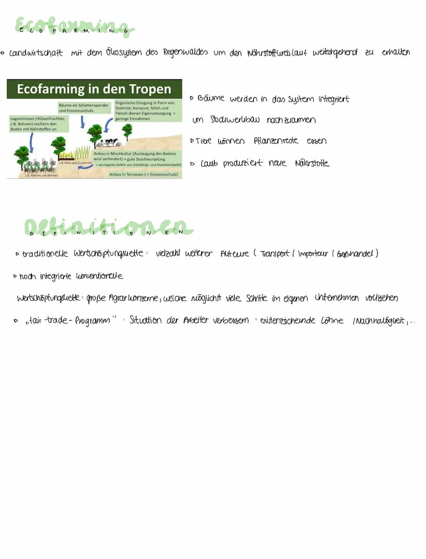 LANDWIRTSCHAFT
Woven hängt Landwirtschaft ab ?
• Klima (Temperatur & Niederschlag)
> Boden eigenschaften
Ertragsfähigkeit
> Tiere
▸ Vegetati