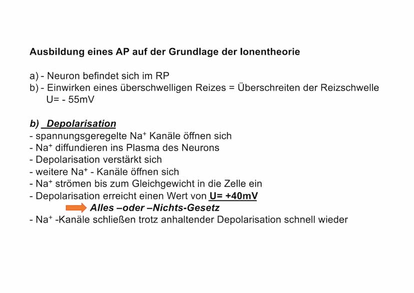 20
Ionentheorie der
Erregungsbildung
Ruhe und Aktionspotenzial Messung von Membranpotenzialen
Bezugs-
elektrode
b)
Oszilloskop zeigt
Membran
