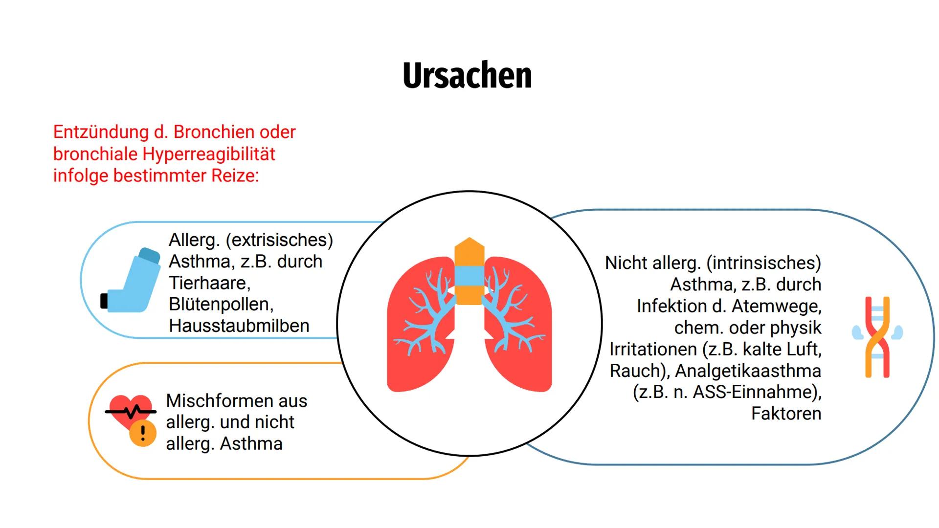 Asthma
bronchiale =
Gliederung
Ursachen
Symptome
Diagnostik
Therapie
Hinweise zur Pflege
Besondere Informationen Entzündung d. Bronchien ode