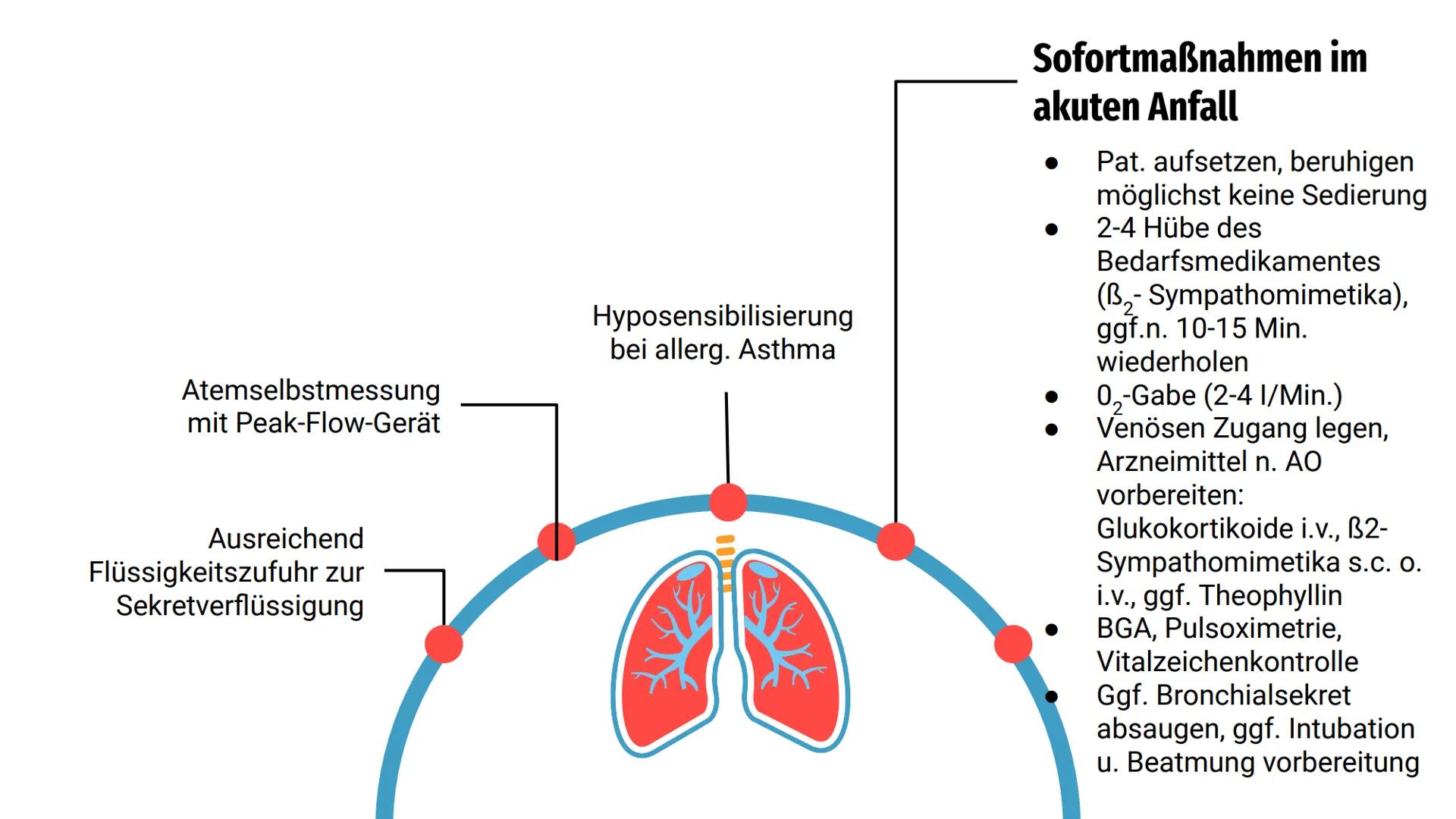 Asthma
bronchiale =
Gliederung
Ursachen
Symptome
Diagnostik
Therapie
Hinweise zur Pflege
Besondere Informationen Entzündung d. Bronchien ode