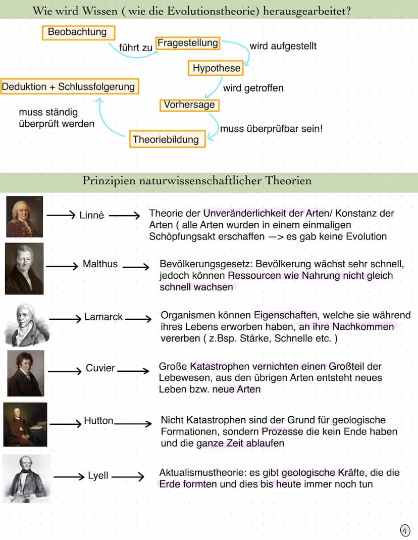 EVOLUTIONSTHEORIE / Seite 1
Seite 1 - 2
Seite 2 - 3
Seite 3
Seite 3
Seite 4
Seite 5
Seite 5
Seite 5
Seite 6
Seite 6-7
Seite 8-9
Seite 9
Seit