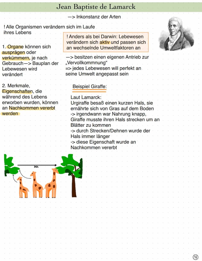 EVOLUTIONSTHEORIE / Seite 1
Seite 1 - 2
Seite 2 - 3
Seite 3
Seite 3
Seite 4
Seite 5
Seite 5
Seite 5
Seite 6
Seite 6-7
Seite 8-9
Seite 9
Seit