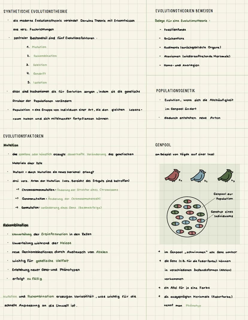 BIOLOGIE KLAUSUR Q3
EVOLUTIONSTHEORIEN VARIABILITÄT UND ANGEPASSTHEIT | ISOLATIOSMECHANISMEN | SELEKTIONSFORMEN/-TYPEN | ARTBILDUNG
EVOLUTIO
