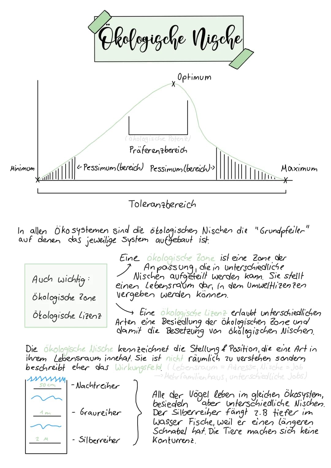 Minimum
Okologische Nische
Auch wichtig:
Ökologische Zone
Ökologische Lizenz
ssssssim
50 cm
1m
2 M
(ökologische Potenz)
Präferenzbereich
<-P