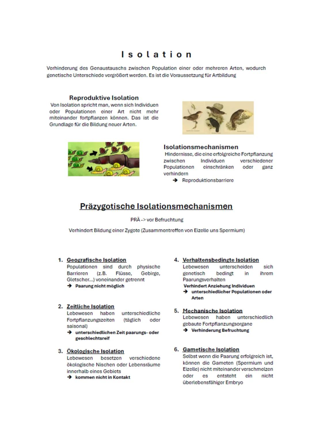 # Isolation

Verhinderung des Genaustauschs zwischen Population einer oder mehreren Arten, wodurch
genetische Unterschiede vergrößert werden