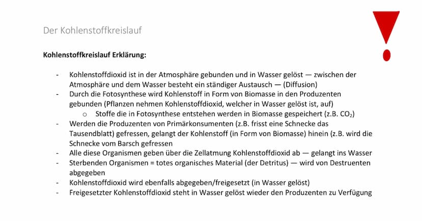 Fotosynthese
Produzenten
Biomasse
Der Kohlenstoffkreislauf
CO₂
in der Atmosphäre
CO₂
im Wasser gelöst
Primärkonsumenten
Biomasse
Zellatmung
