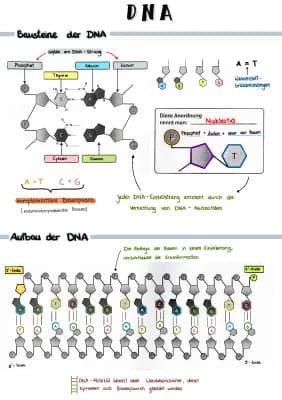 Know DNA thumbnail