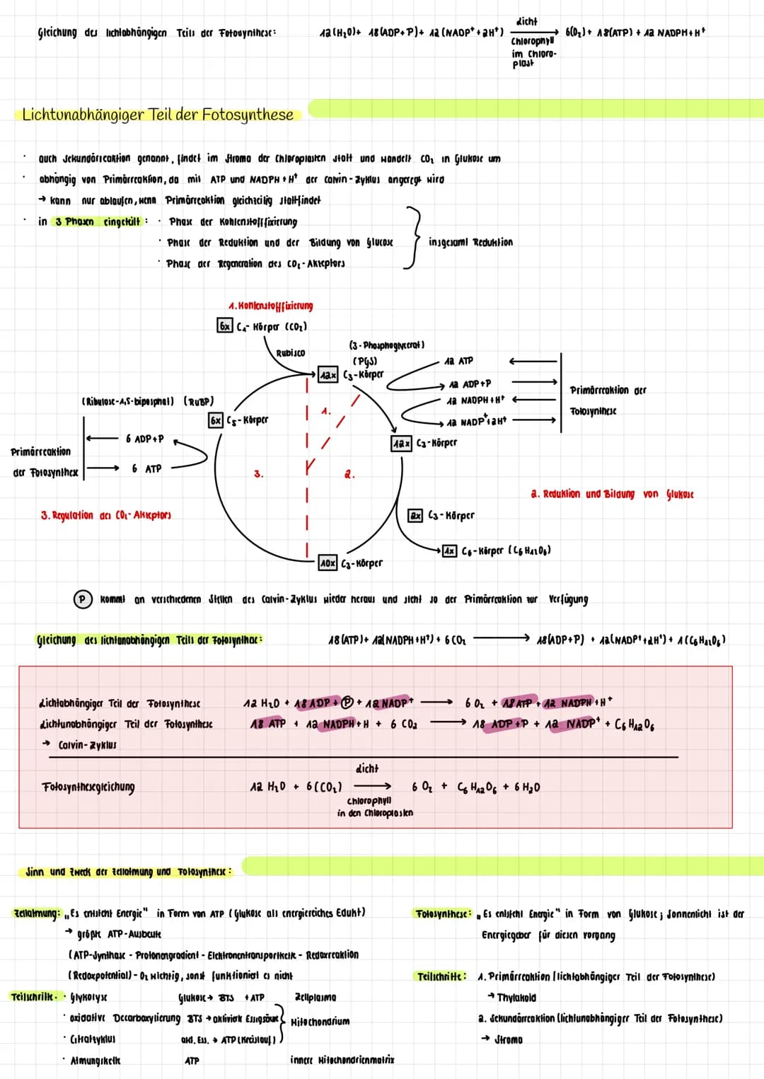 H₂O K
→
H₂0
dicht
Transpiration
autotroph: selbsternährend
Сб На2 06
Fotosynthese Zellatmung
Fotosynthese
autotrophe Assimilation aus körper