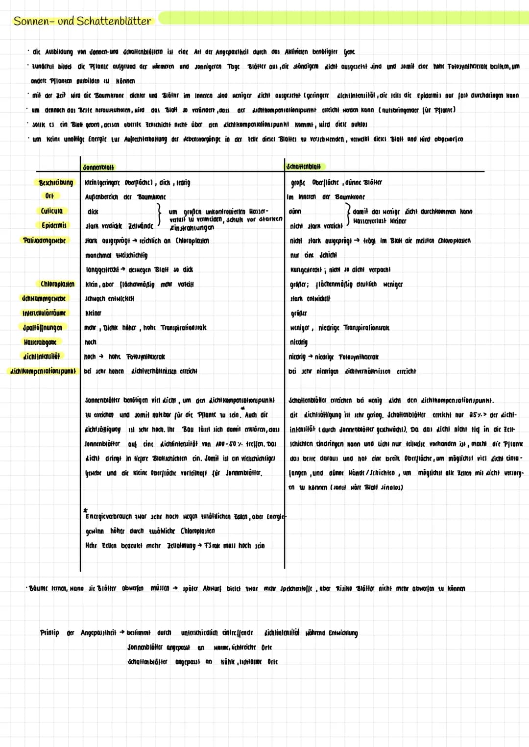H₂O K
→
H₂0
dicht
Transpiration
autotroph: selbsternährend
Сб На2 06
Fotosynthese Zellatmung
Fotosynthese
autotrophe Assimilation aus körper