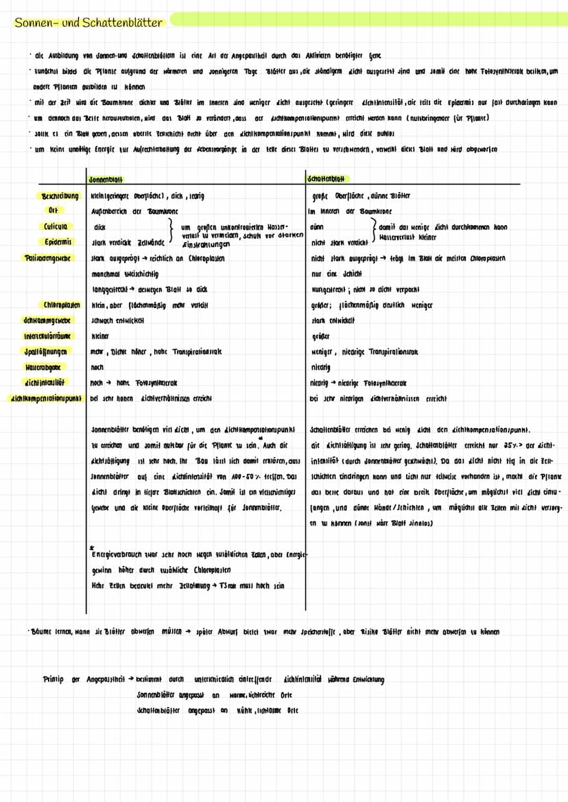 H₂O K
→
H₂0
dicht
Transpiration
autotroph: selbsternährend
Сб На2 06
Fotosynthese Zellatmung
Fotosynthese
autotrophe Assimilation aus körper