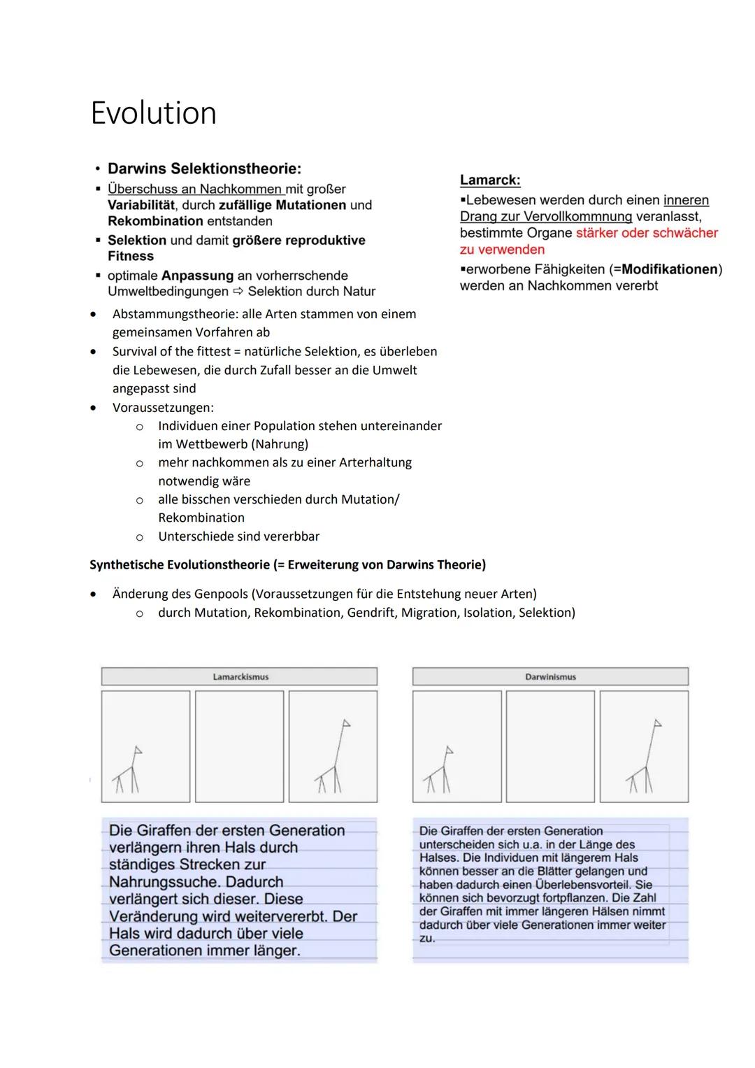 # Evolution

*   Darwins Selektionstheorie:
    *   Überschuss an Nachkommen mit großer
        Variabilität, durch zufällige Mutationen und