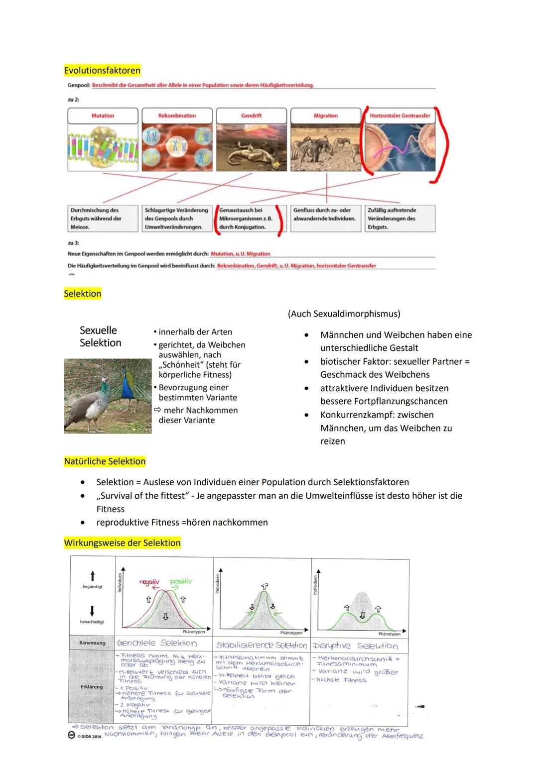 # Evolution

*   Darwins Selektionstheorie:
    *   Überschuss an Nachkommen mit großer
        Variabilität, durch zufällige Mutationen und