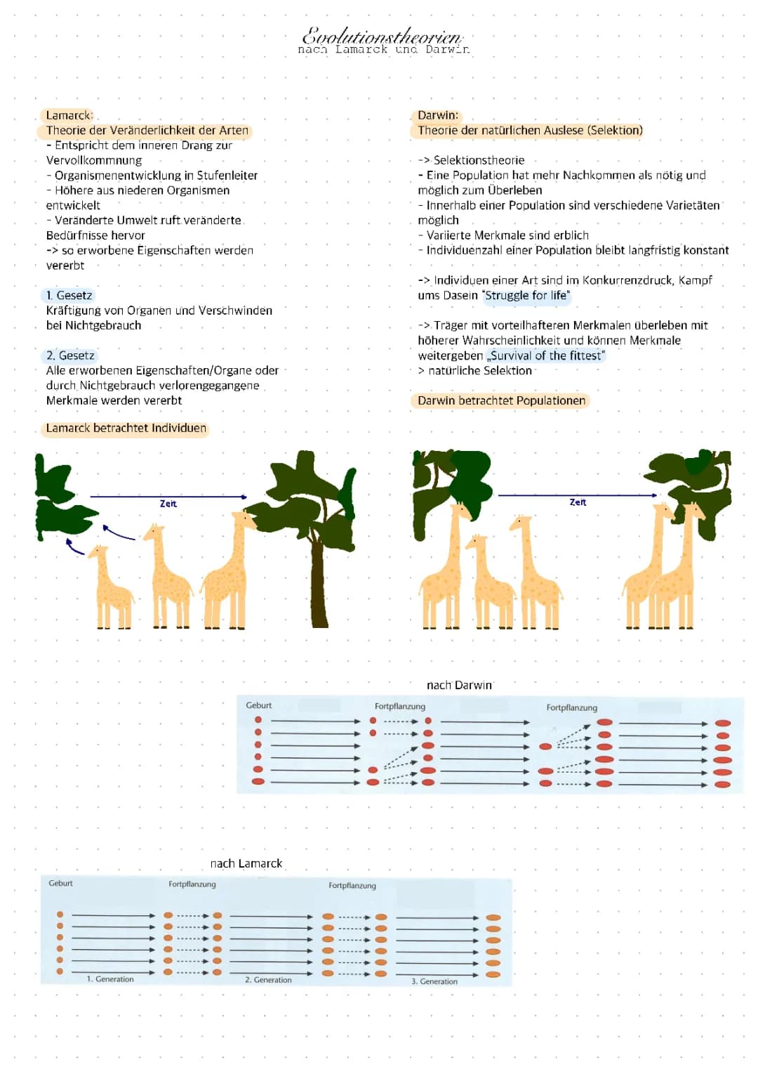 Evolutionstheorien nach Lamarck und Darwin 