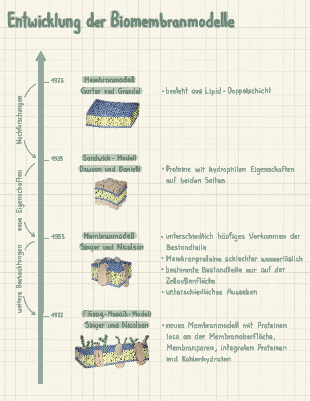 Biomembranmodelle