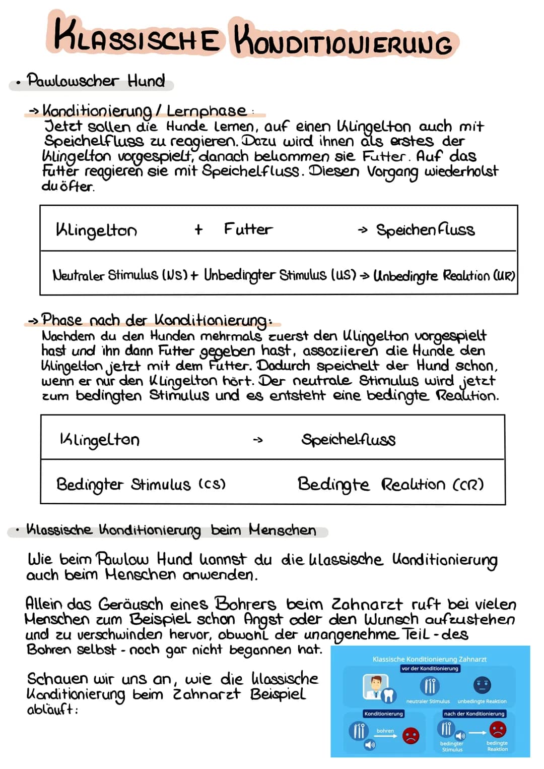 KLASSISCHE KONDITIONIERUNG
Drei Phasen der klassischen Konditionierung
Die klassische Konditionierung Läuft in drei Phase ab:
->>
• Phase vo