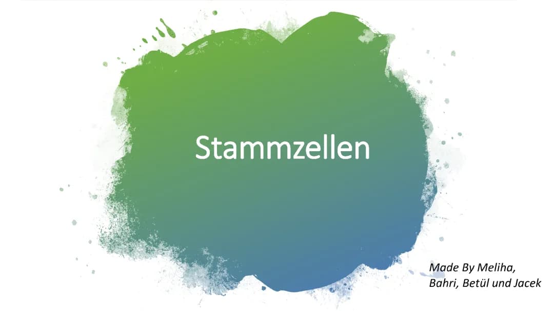 Stammzellen 