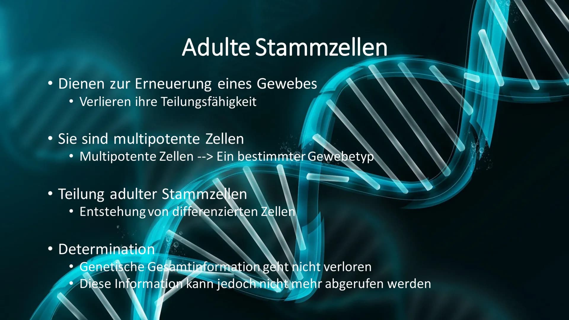 Stammzellen
Made By Meliha,
Bahri, Betül und Jacek Gliederung/Inhaltsverzeichnis
- Zygote & embryonale Stammzellen
- Adulte Stammzellen
- Me