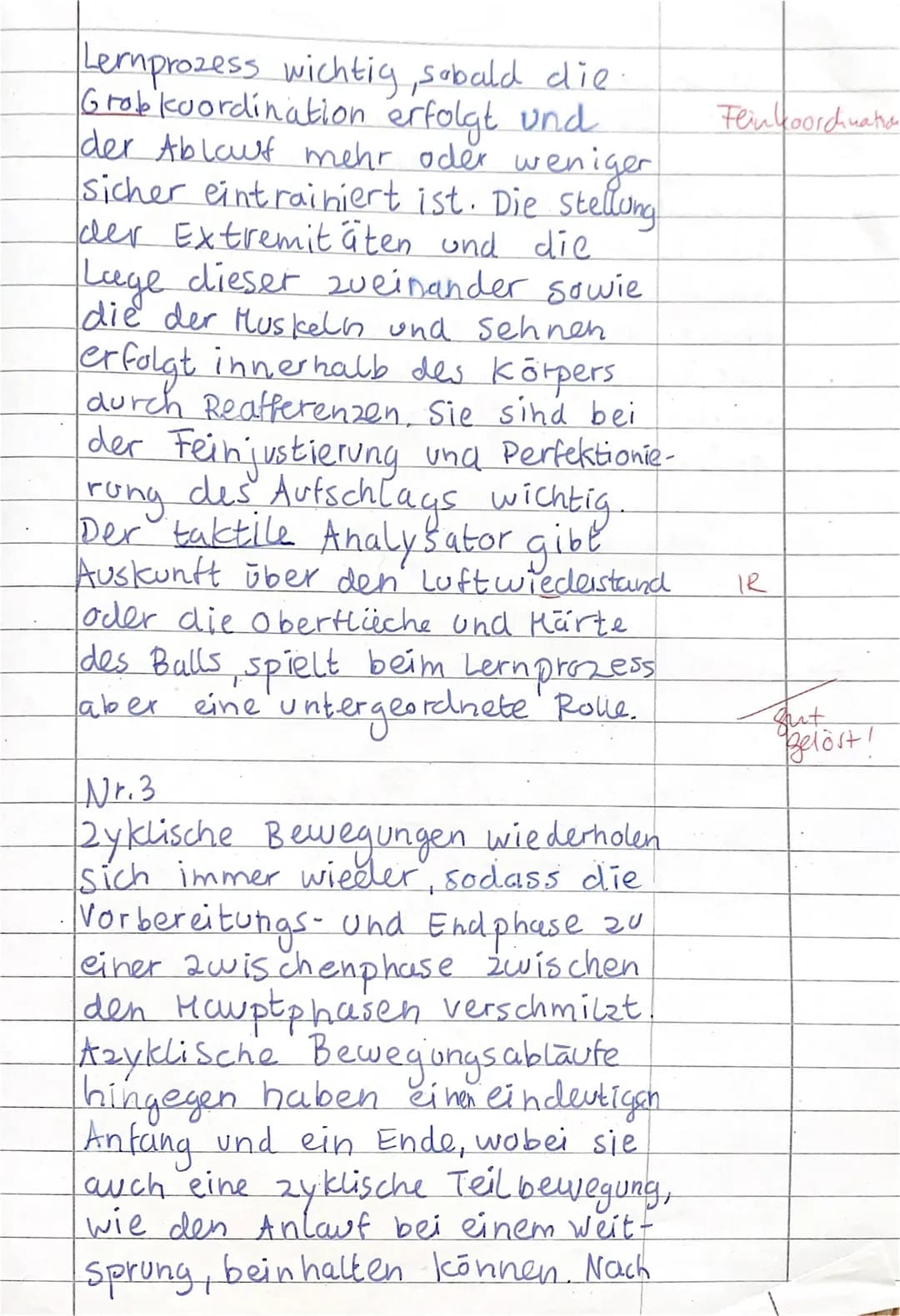 Entdecke die Phasenstruktur beim Kopfball und den Lernprozess im Volleyball
