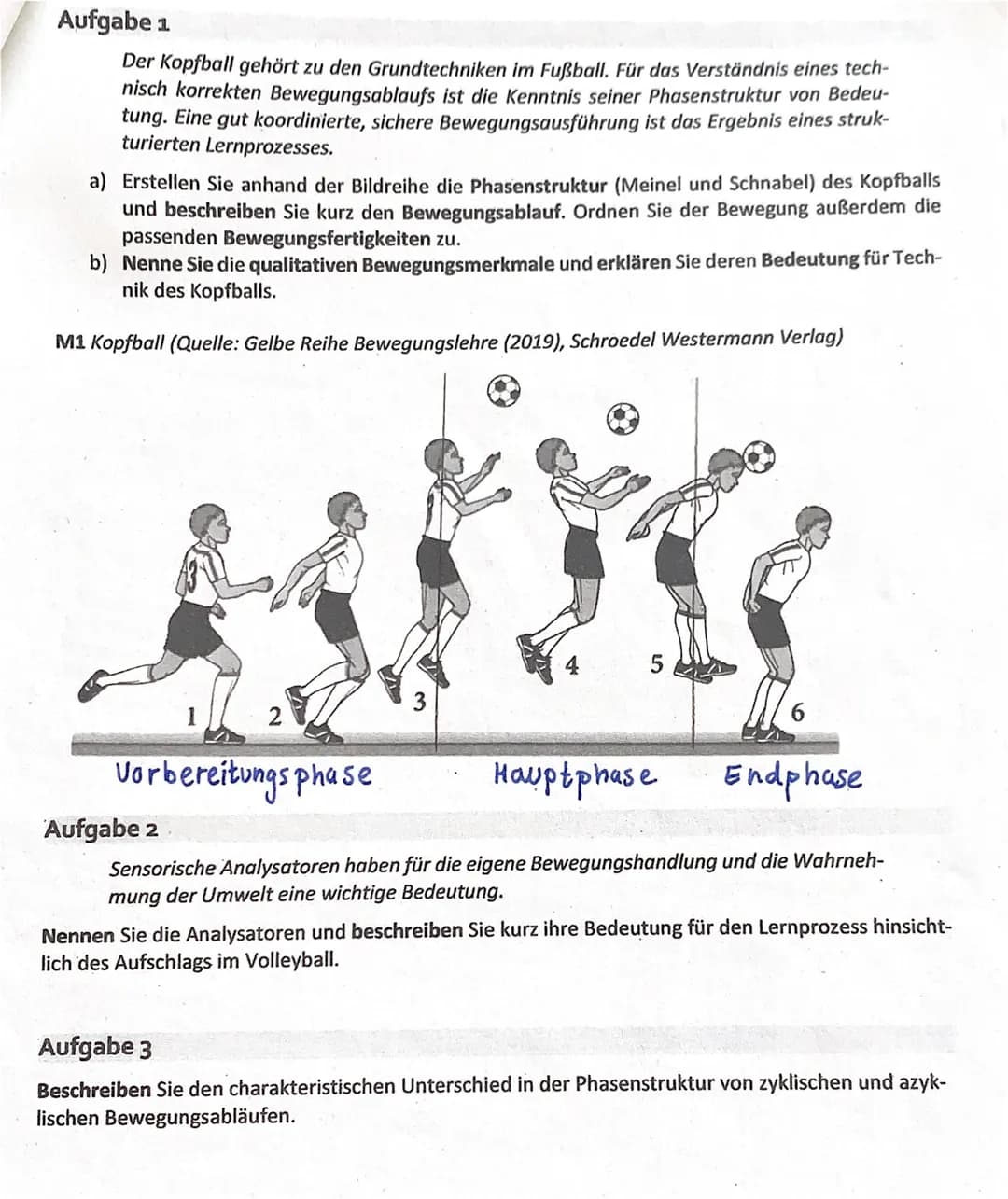 Entdecke die Phasenstruktur beim Kopfball und den Lernprozess im Volleyball