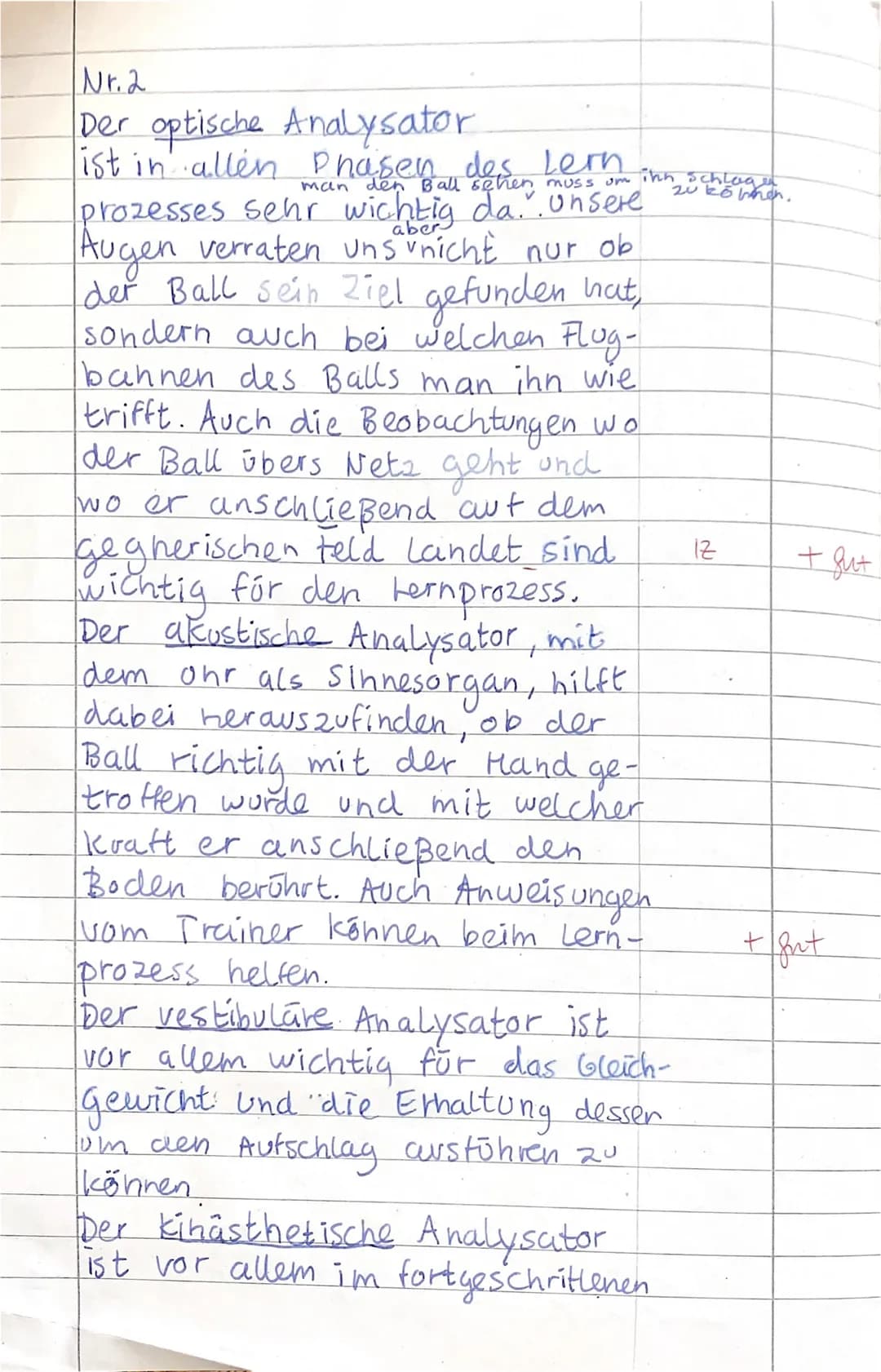 Entdecke die Phasenstruktur beim Kopfball und den Lernprozess im Volleyball