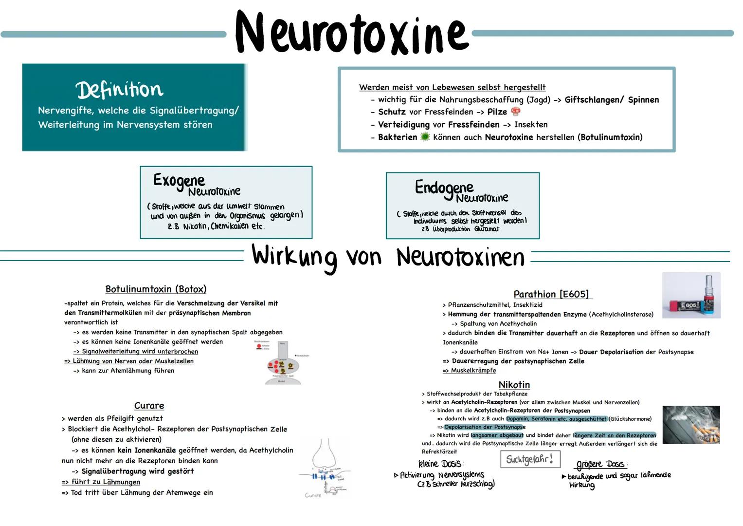 glables
endoplasmatische
Retikulum
raues
endoplasmatische
Retikulum
Aufbau einer
einer Zelle
Ribosom
ellkern mit
Nucleotid
Cytoplasma
ellmem