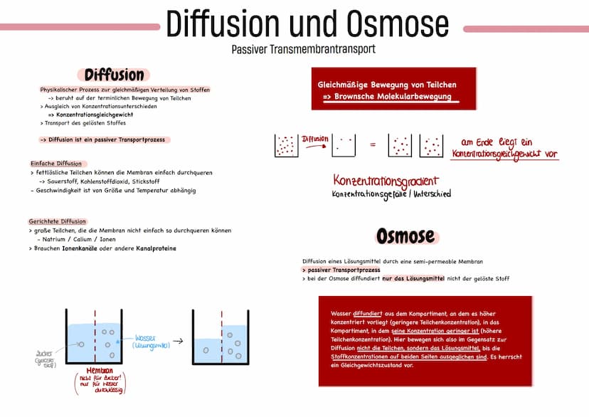glables
endoplasmatische
Retikulum
raues
endoplasmatische
Retikulum
Aufbau einer
einer Zelle
Ribosom
ellkern mit
Nucleotid
Cytoplasma
ellmem