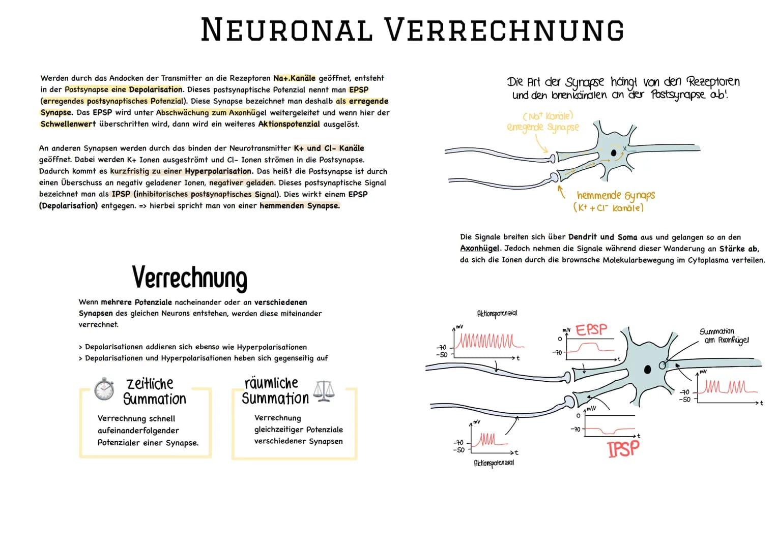 glables
endoplasmatische
Retikulum
raues
endoplasmatische
Retikulum
Aufbau einer
einer Zelle
Ribosom
ellkern mit
Nucleotid
Cytoplasma
ellmem