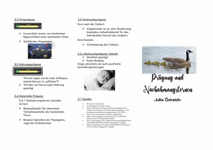 Inhaltsverzeichnis
1. Definition Prägung
2. Merkmale
3. Varianten
3.1 Objektprägung
3.1.1 Nachfolgeprägung
3.1.2 Sexuelle Prägung
3.2 Ortspr