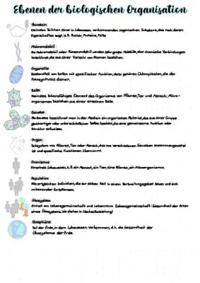 Know Ebenen der biologischen Organisation thumbnail