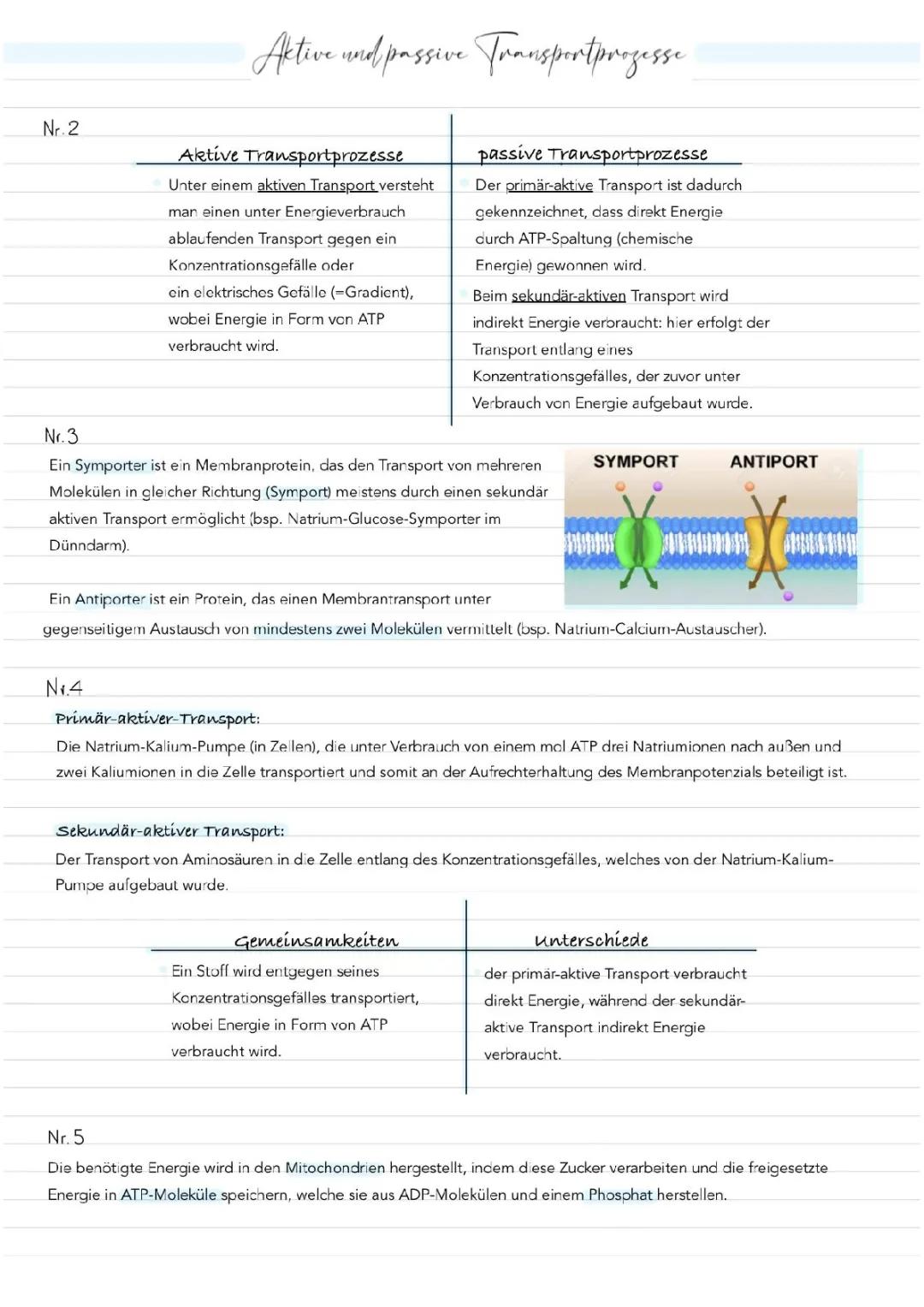 Aktiver und Passiver Transport: Einfach Erklärt mit Beispielen