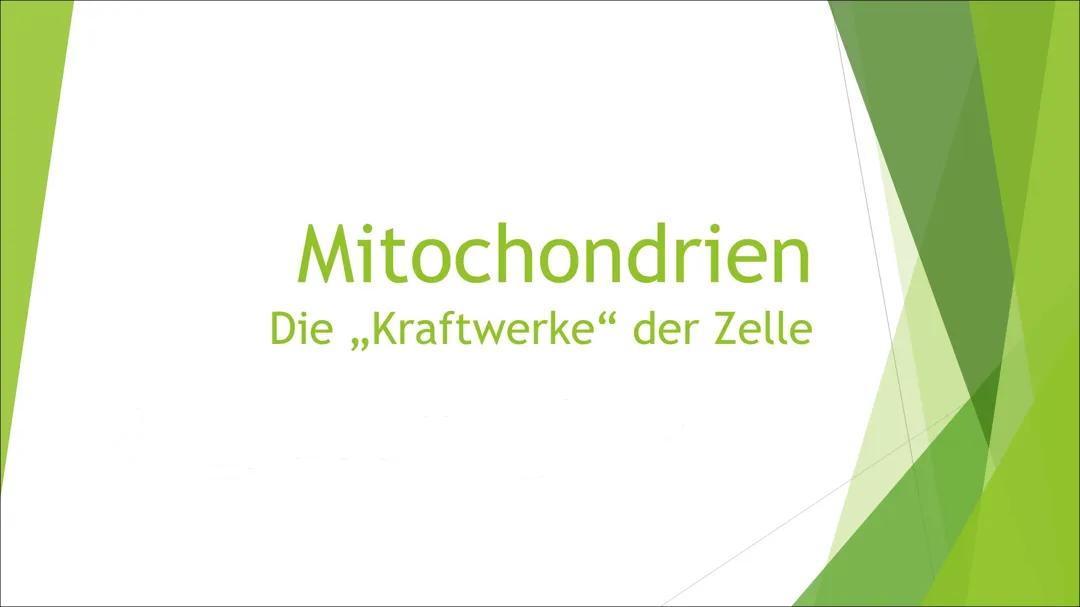 Mitochondrien - die ,,Kraftwerke” der Zelle