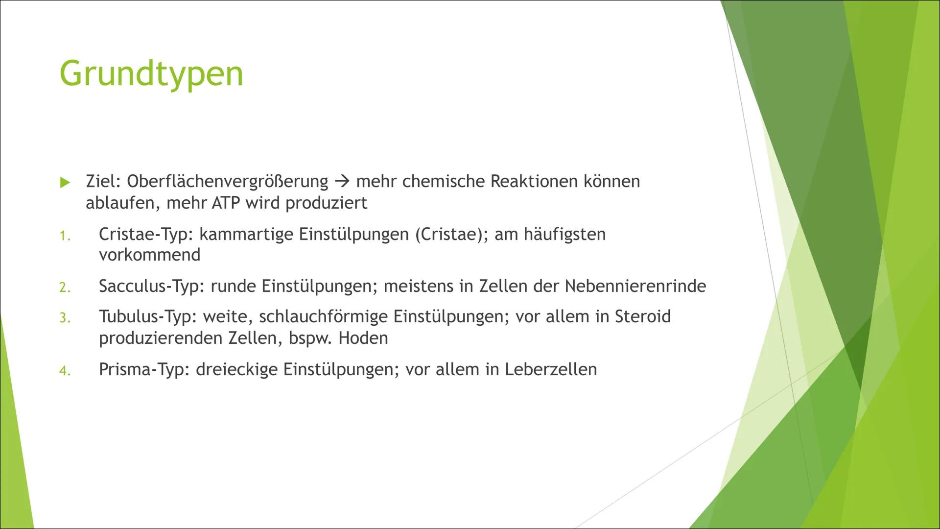 Mitochondrien
Die ,,Kraftwerke" der Zelle Inhalt
Aufbau
►Grundtypen
Mitochondriale DNA
Endosymbiontentheorie
Funktion/Aufgaben
Energieproduk