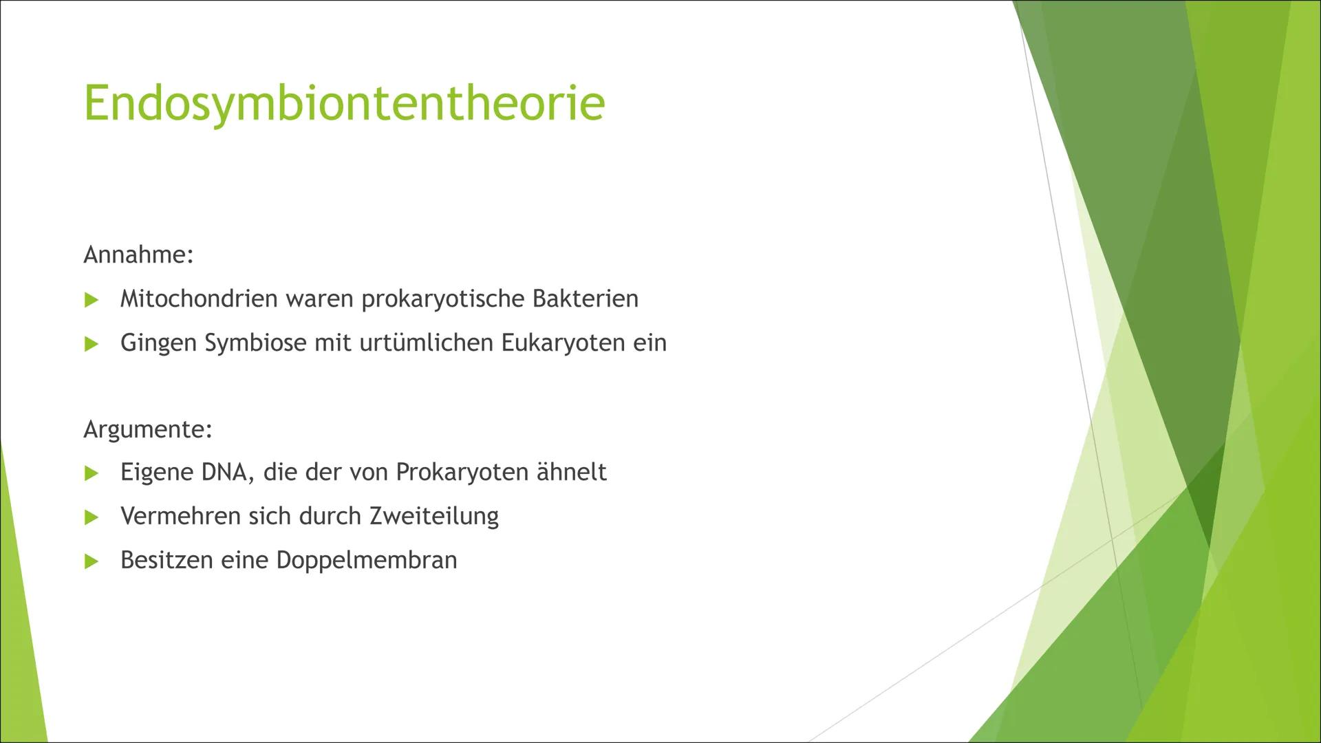 Mitochondrien
Die ,,Kraftwerke" der Zelle Inhalt
Aufbau
►Grundtypen
Mitochondriale DNA
Endosymbiontentheorie
Funktion/Aufgaben
Energieproduk