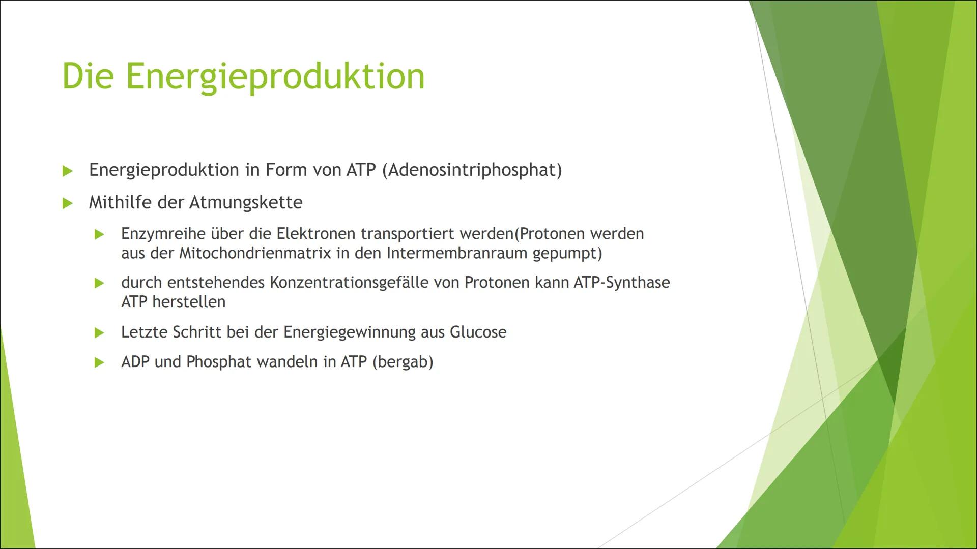 Mitochondrien
Die ,,Kraftwerke" der Zelle Inhalt
Aufbau
►Grundtypen
Mitochondriale DNA
Endosymbiontentheorie
Funktion/Aufgaben
Energieproduk