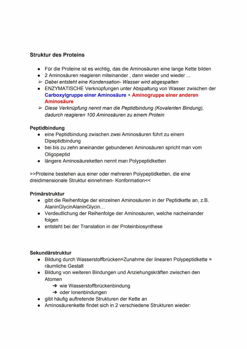 Proteine
●
sind Makromoleküle
● bestehen aus vielen Aminosäuren
• regelmäßig neue gebaut und alte abgebaut
●
entstehen bei der Proteinbiosyn