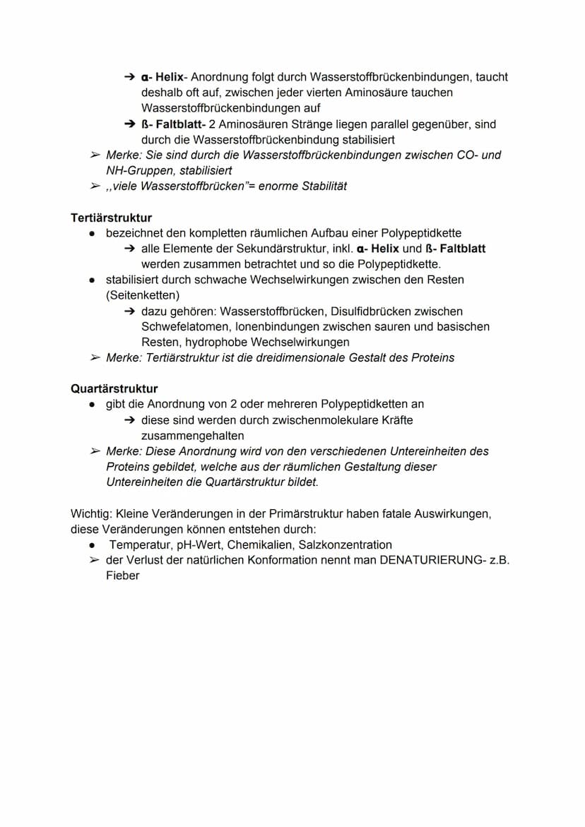 Proteine
●
sind Makromoleküle
● bestehen aus vielen Aminosäuren
• regelmäßig neue gebaut und alte abgebaut
●
entstehen bei der Proteinbiosyn