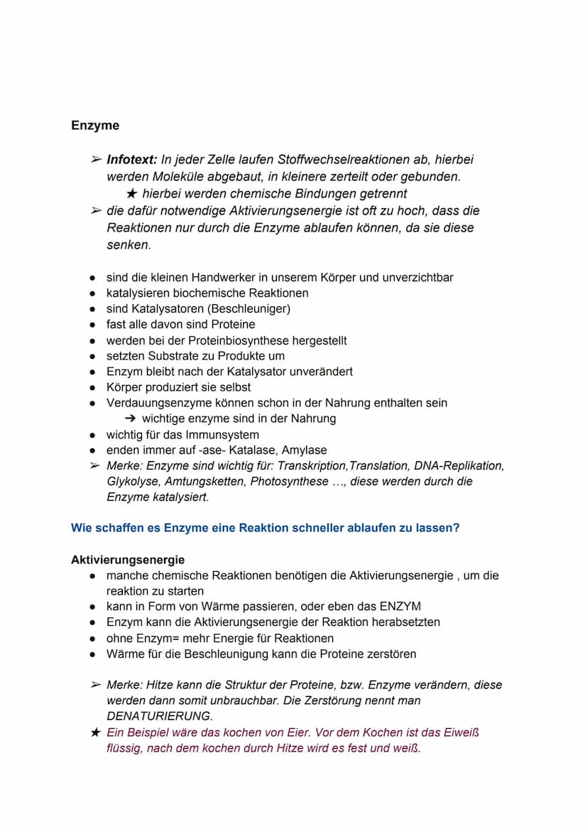 Proteine
●
sind Makromoleküle
● bestehen aus vielen Aminosäuren
• regelmäßig neue gebaut und alte abgebaut
●
entstehen bei der Proteinbiosyn