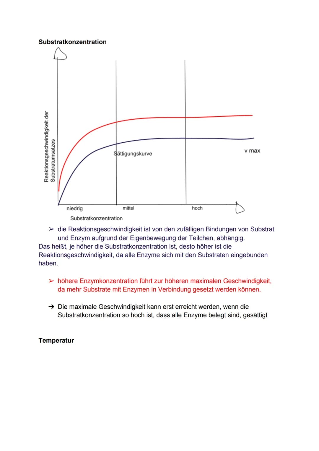 Proteine
●
sind Makromoleküle
● bestehen aus vielen Aminosäuren
• regelmäßig neue gebaut und alte abgebaut
●
entstehen bei der Proteinbiosyn