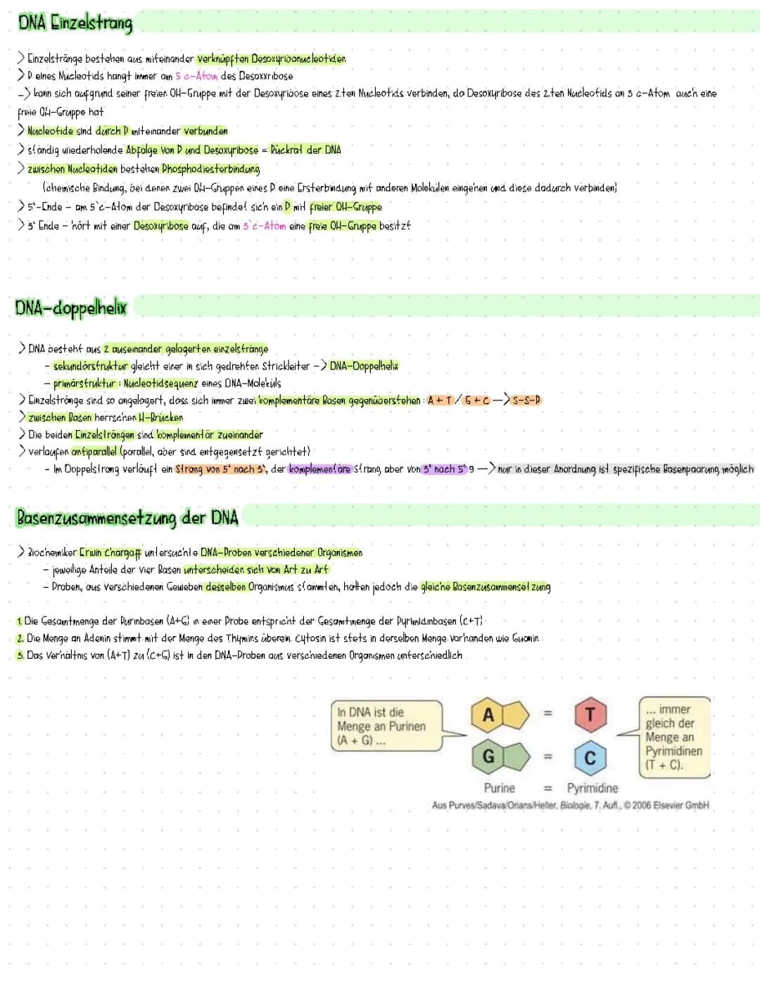 DNA + Basenzusammensetzung 