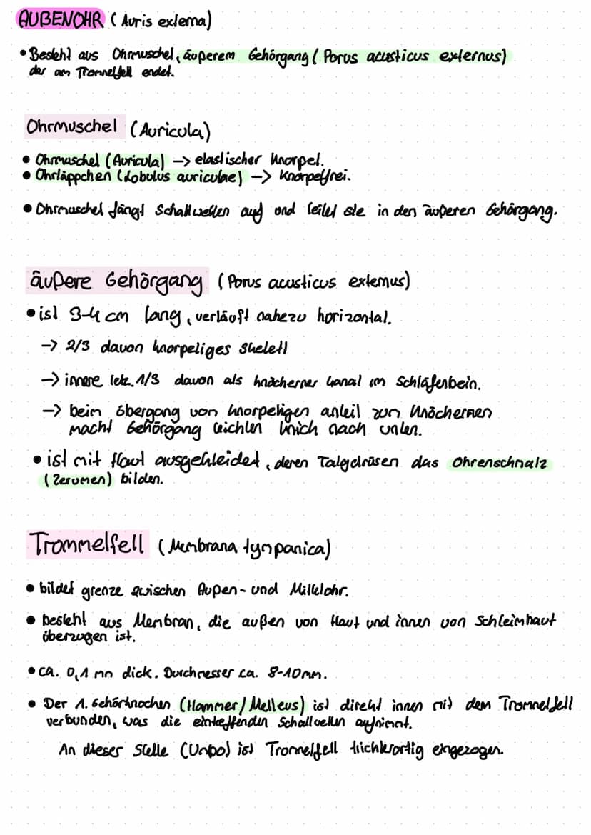 Anti
Helix
Das Ohr
Helix
Anti
Tragus
Hammer
(Malleus)
Vestibular
Organ
Amboss
(Incus)
N. vestibulan's
Trommelfell
(Membrana tympanica)
außer