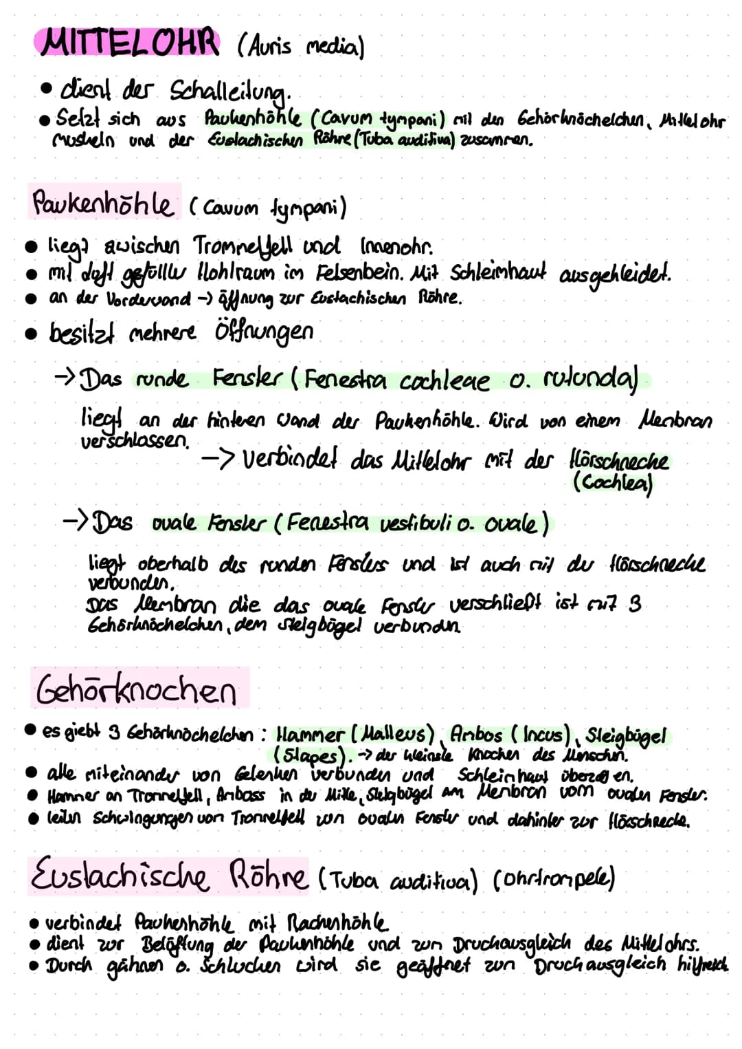 Anti
Helix
Das Ohr
Helix
Anti
Tragus
Hammer
(Malleus)
Vestibular
Organ
Amboss
(Incus)
N. vestibulan's
Trommelfell
(Membrana tympanica)
außer