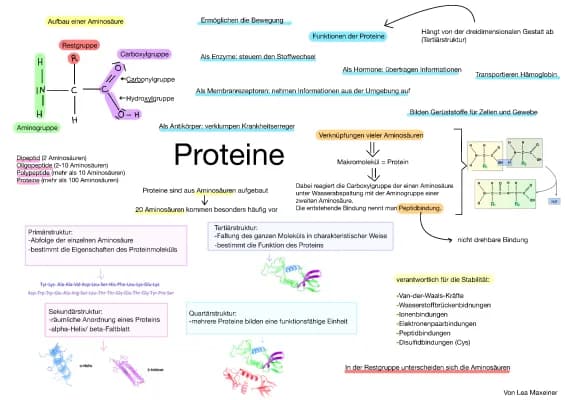 Know Proteine thumbnail