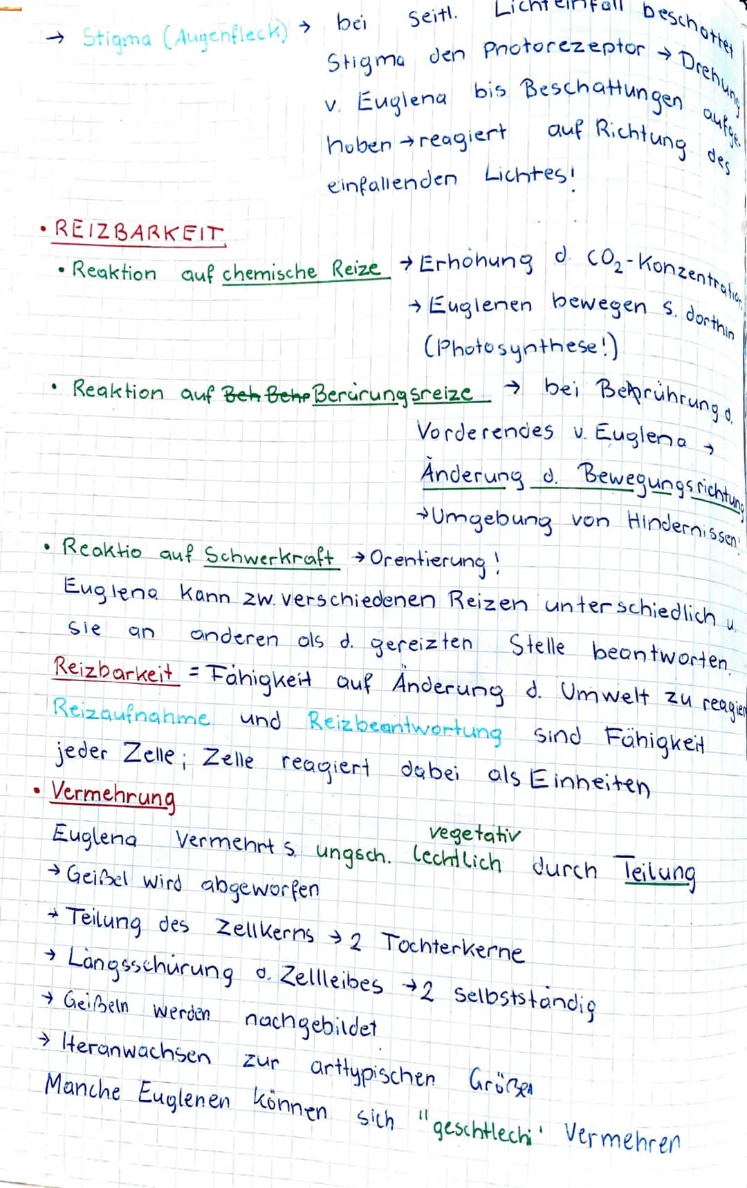 KENZEICHEN Von LEBEWESEN
GATTUNG div. Arten
anhand des Beispiels: EGLENA sp. (Augentierchen)
↓
Geißel (lang).
Einzahler gehört:
Ampulle
Stig