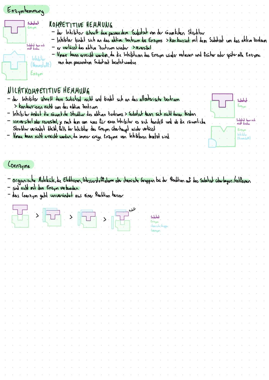 # ENZYMATIK

## Aufbau von Enzymen

allosterische Enzym
Zentrum

aktive ustrum

allosterische Enzym
Zentrum

Das Substrat bindet sich an das