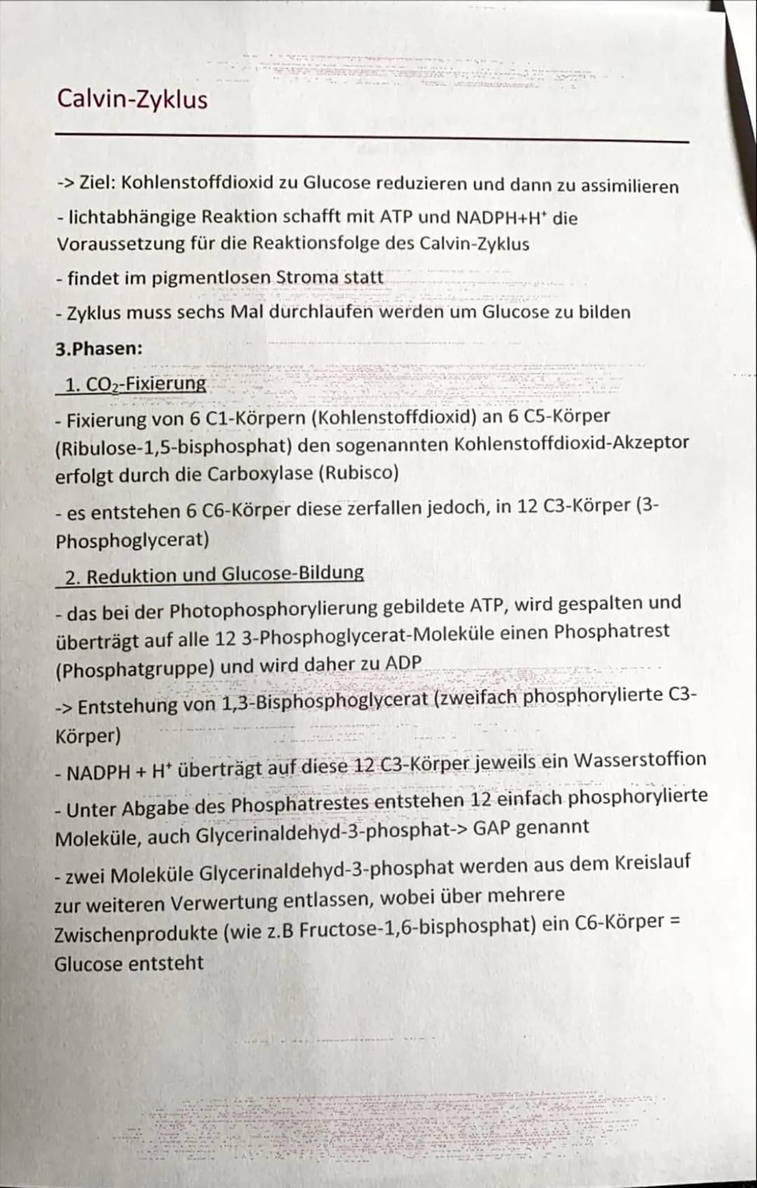 Calvin-Zyklus
-> Ziel: Kohlenstoffdioxid zu Glucose reduzieren und dann zu assimilieren
- lichtabhängige Reaktion schafft mit ATP und NADPH+